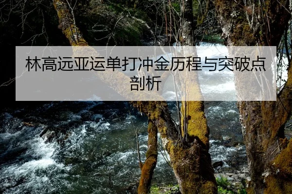 林高远亚运单打冲金历程与突破点剖析